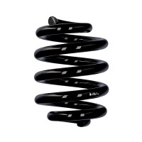 Fahrwerksfedern-Set Hinterachse Ø 21,5 mm 245 mm EIBACH für u.a. VW MULTI T5