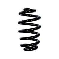 Fahrwerksfedern-Set Hinterachse Ø 15 mm 250 mm EIBACH für u.a. AUDI A4 B7 At