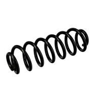 Suspension Spring Set Rear Axle Coil Spring Ø 13 mm EIBACH for VW TIGUAN