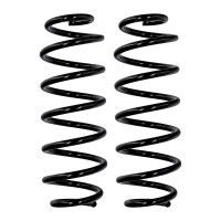 Fahrwerksfedern-Set Hinterachse Ø 10,2 mm 303 mm...