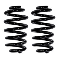 Fahrwerksfedern-Set Hinterachse Ø 15,5 mm 251 mm...