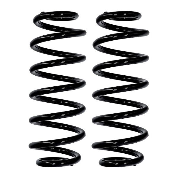 Suspension spring set rear axle Ø 12.8 mm 319 mm EIBACH for SEAT LEON and others