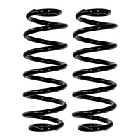 Suspension spring set rear axle Ø 12.8 mm 319 mm...