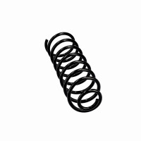 Suspension Spring Set rear axle coil spring Ø 10 mm EIBACH for e.g. VW GOLF