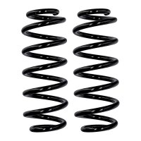 Fahrwerksfedern-Set Hinterachse Ø 10,2 mm 249 mm...