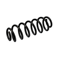 Suspension Spring Set rear axle coil spring Ø 12 mm EIBACH for e.g. VW JETTA