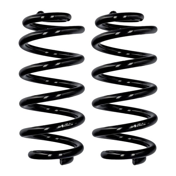 Fahrwerksfedern-Set Hinterachse Ø 15,8 mm 304 mm EIBACH für AUDI A6 C6 At