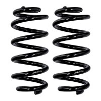 Fahrwerksfedern-Set Hinterachse Ø 15,8 mm 304 mm...