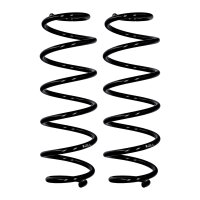 Fahrwerksfedern-Set Hinterachse Ø 11,2 mm 380 mm...