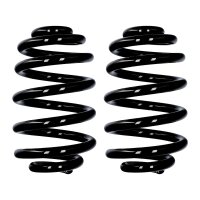 Fahrwerksfedern-Set Hinterachse Ø 16,8 mm 260 mm...