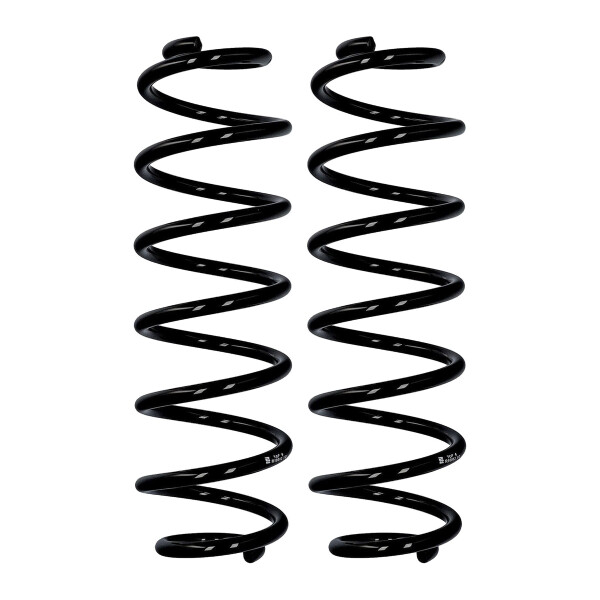 Fahrwerksfedern-Set Hinterachse Ø 10,8 mm 360 mm EIBACH für u.a. VW GOLF IV