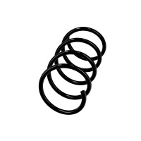 Suspension Spring Set Front Axle Coil Spring Ø 12 mm EIBACH for MB A-CLASS