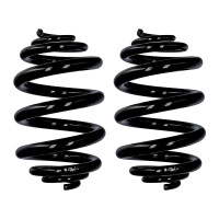 Fahrwerksfedern-Set hinten Drahtdurchmesser inkonstant...