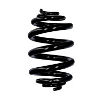 Fahrwerksfedern-Set hinten Drahtdurchmesser inkonstant 273 mm EIBACH für u.a. VW