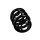 Suspension Spring Set rear coil spring EIBACH for e.g. VW TRANSPORTER