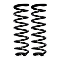 Fahrwerksfedern-Set Hinterachse Ø 10,2 mm 315 mm...