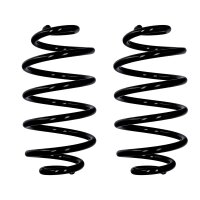 Fahrwerksfedern-Set Hinterachse Ø 13,2 mm 305 mm...