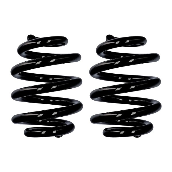 Fahrwerksfedern-Set Hinterachse Ø 21 mm 250 mm EIBACH für u.a. VW MULTI T5