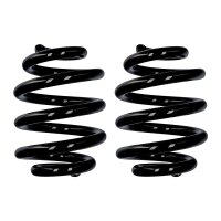 Fahrwerksfedern-Set Hinterachse Ø 21 mm 250 mm...
