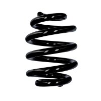 Fahrwerksfedern-Set Hinterachse Ø 21 mm 250 mm EIBACH für u.a. VW MULTI T5