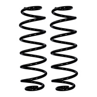 Fahrwerksfedern-Set Hinterachse Ø 10,8 mm 350 mm...