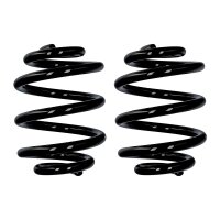 Fahrwerksfedern-Set Hinterachse Ø 15,2 mm 220 mm...