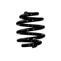 Fahrwerksfedern-Set Hinterachse Ø 16 mm 190 mm EIBACH für u.a. VW GOLF IV