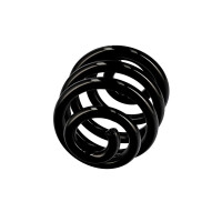 Suspension Spring Set rear axle coil spring Ø 16 mm EIBACH for e.g. VW GOLF