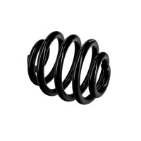 Suspension Spring Set rear axle coil spring Ø 16 mm EIBACH for e.g. VW GOLF