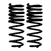 Fahrwerksfedern-Set Hinterachse Ø 11,8 mm 320 mm...