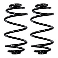 Fahrwerksfedern-Set Hinterachse Ø 12 mm 310 mm...