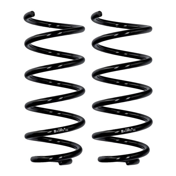 Fahrwerksfedern-Set Hinterachse Ø 9,5 mm 246 mm EIBACH für u.a. SMART CITY-