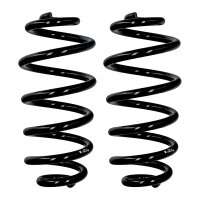 Fahrwerksfedern-Set Hinterachse Ø 13,8 mm 292 mm...