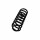 Suspension Spring Set rear coil spring Ø 11,2 mm EIBACH for RENAULT MEGANE