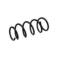 Suspension Spring Set front Ø 12,5 mm EIBACH for e.g. RENAULT KANGOO