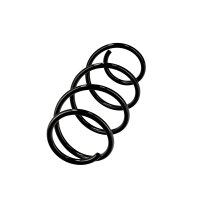 Suspension Spring Set front coil spring Ø 11.8 mm EIBACH for e.g. RENAULT CLIO