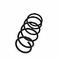 Suspension Spring Set front coil spring Ø 11.5 mm EIBACH for e.g. RENAULT CLIO
