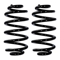 Fahrwerksfedern-Set Hinterachse Ø 14 mm 300 mm...