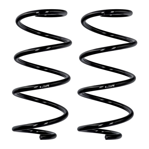 Suspension spring set front axle Ø 12 mm 317 mm EIBACH for NISSAN NOTE