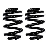 Fahrwerksfedern-Set Hinterachse Ø 18 mm 238 mm...