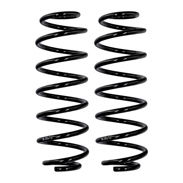 Suspension spring set rear axle Ø 10 mm 320 mm EIBACH for MAZDA 2