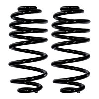 Fahrwerksfedern-Set Hinterachse Ø 14 mm 319 mm...