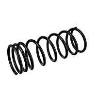 Suspension Spring Set Rear Axle Coil Spring Ø 15.5 mm EIBACH for MB G-CLASS
