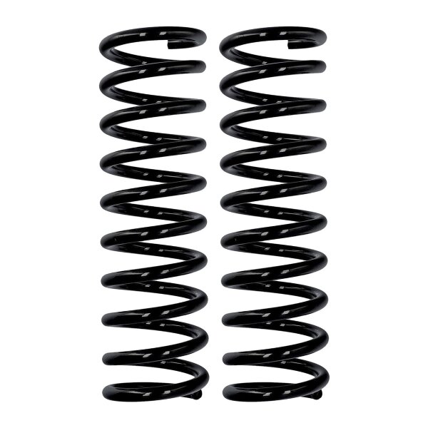 Fahrwerksfedern-Set Auto-Hinterachse Ø 12 mm 368 mm EIBACH für BMW 5