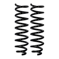 Fahrwerksfedern-Set Hinterachse Ø 13,8 mm 413 mm...