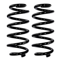 Suspension spring set front axle Ø 15 mm 313 mm...