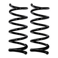 Suspension spring set front axle Ø 14.8 mm 336 mm...