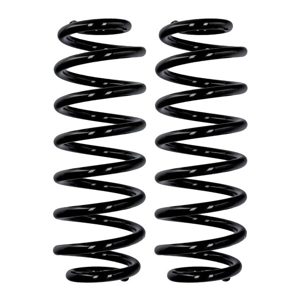 Fahrwerksfedern-Set Hinterachse Ø 13,2 mm 335 mm EIBACH für BMW 5