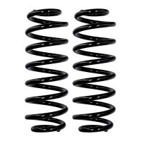 Fahrwerksfedern-Set Hinterachse Ø 13,2 mm 335 mm...