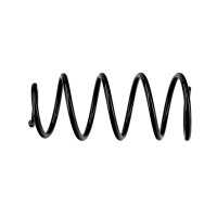 Suspension Spring Set rear coil spring Ø 10.5 mm EIBACH for FIAT GRANDE